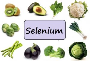 Foods-Minerals-Selenium-EatHealthyLiveFit_com-300x206